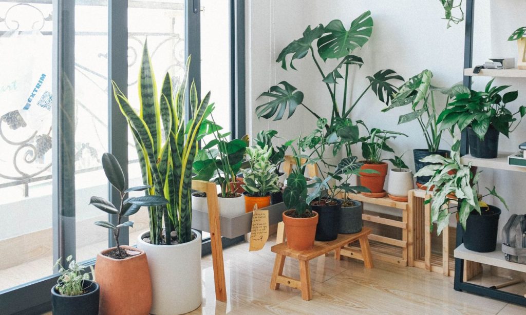 how to transition to a green home without breaking the bank