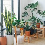 how to transition to a green home without breaking the bank