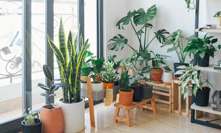 how to transition to a green home without breaking the bank