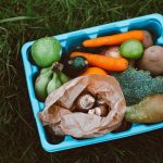 What are the Long-Term Strategies for Improving Your Family's Health?